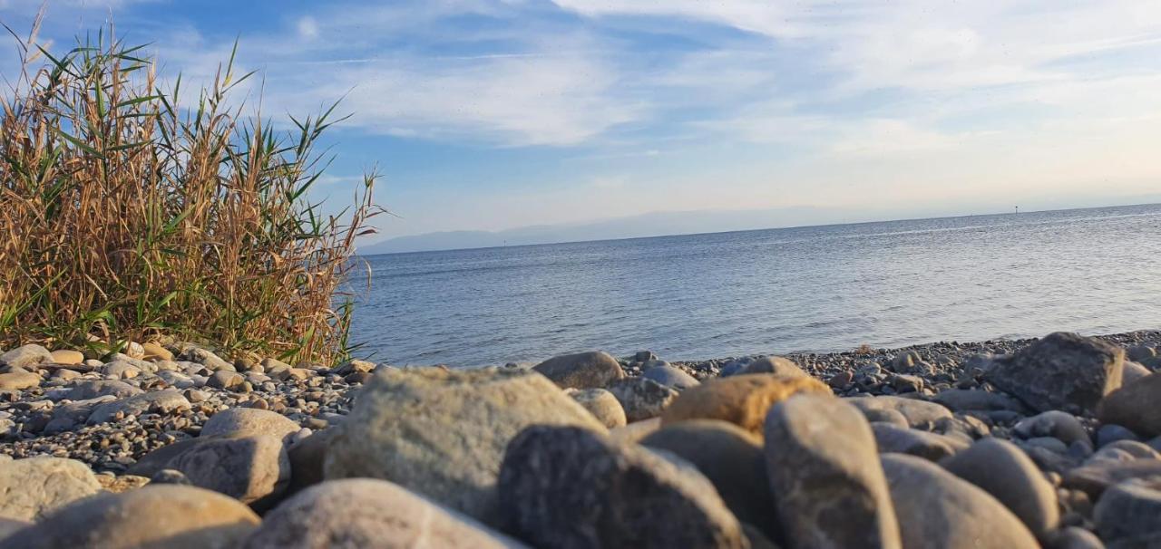 Ferienwohnung Seenah FDH Dış mekan fotoğraf